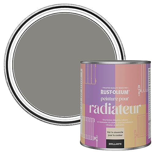 Rust-Oleum Peinture Grise Résistante à la chaleur pour Radiateur, Finition Brillante - Béton 750ml