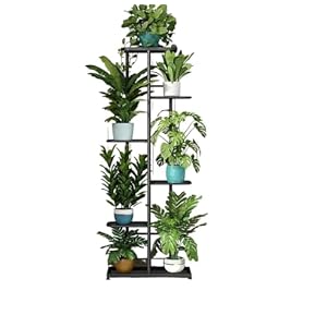 Mishy Wood Tall Indoor Plant Stand 7 Tier Plants | Modern Metal Planter | Flower Stand Planter For Living Room | Bedroom | Office Decor Display (Black)