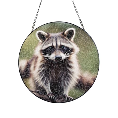 Atrapasueños de cristal con mapache el regalo para mujer ideal de jardín 2