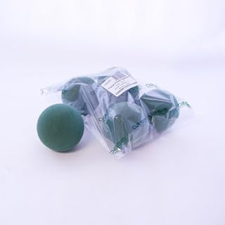 5 x Oasis Ideal 12cm Round Sphere Ball Wet Foam for Florist Floral Craft Flowers Floristry Weddings Topiary Designs & Displays