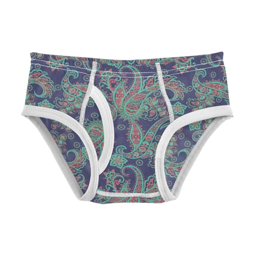 Boys' Exclusive Briefs Toddler Underwear 95% Combed Cotton Boxerbriefs 2T Paisley Pattern 10