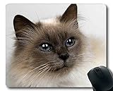 3. Proporciona un excelente seguimiento del mouse para una pelota o un mouse óptico;