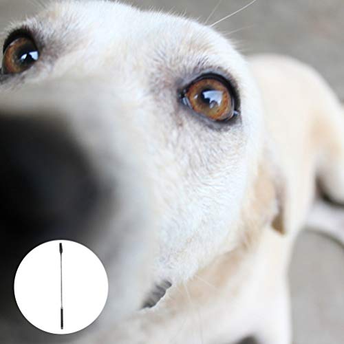 Popetpop – Bastão interativo para cães para cães e cães