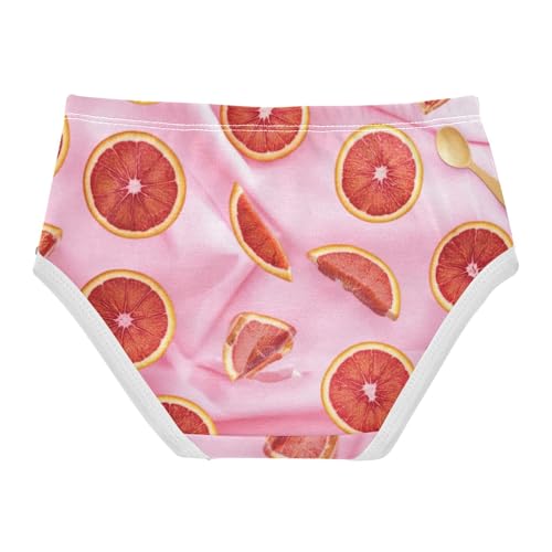 Fancy Toddler Underwear Floral 2t Cotton Cute Panties Girl Blood Orange Slices Pink Briefs Girls Undies2