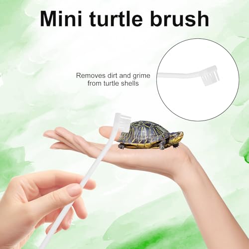 Image of 2pcs Turtle Scrub Brush, Grey Turtle Shell Cleaning Brush Tortoise Shell Exfoliate Cleaning Scratcher with Suction Cup Tortoise Tank Accessories for Aquatic Tank Supplies Toy Decor