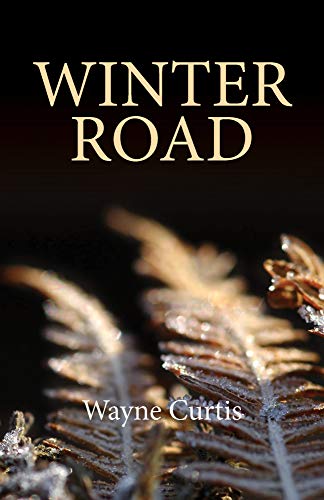 Winter Road view 2