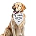 2pcs Wedding Dog Bandanas, My Parents are Getting Married Dog Bandana Soft Polyester Wedding Pet Bandana Wedding Dog Accessories Wedding Photo Prop for Wedding Dog Decoration