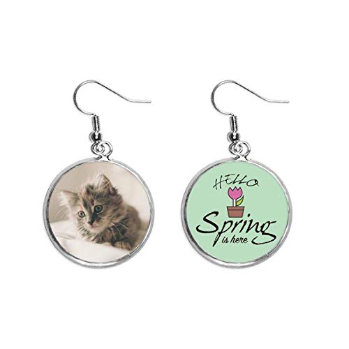 Pendientes de gato gris con colgante fotográfico de diseño artístico