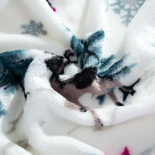 Elegant Comfort Luxuriously Soft 4-Piece Holiday Velvet Plush Flannel Sheet Set - Premium Quality - Cozy Warm, Christmas Fuzzy Velvet Flannel Fleece Deep Pocket Sheet Set - King, Christmas Wreath