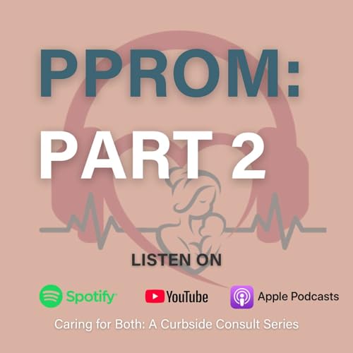 PART 2 | PPROM: A Life-Affirming Approach cover art