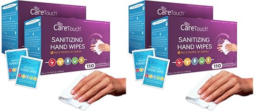 Care Touch Hand Sanitizer Wipes – 220 Individually Wrapped Packets (Packing may Vary) (Pack of 2)