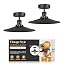 2 Pack - Black - Without Bulb