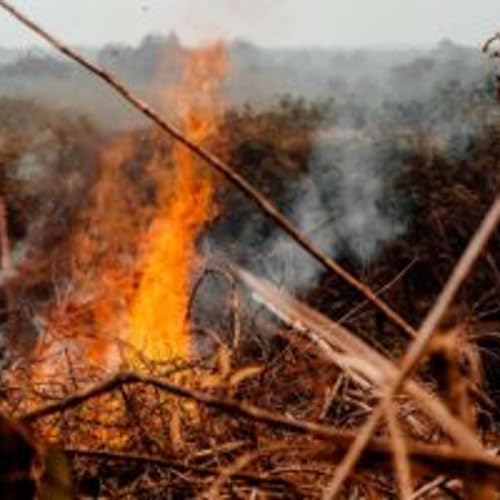 Hazardous Fuels Work Continues This Week Podcast Por  arte de portada