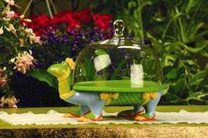 Amazon | Krinkles Turtleケーキプレートとガラスドーム