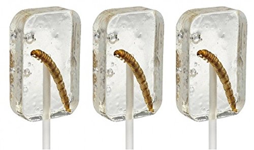 Hotlix Tequila Worm Sucker Pack Of 3 Insect Candy #TOP7