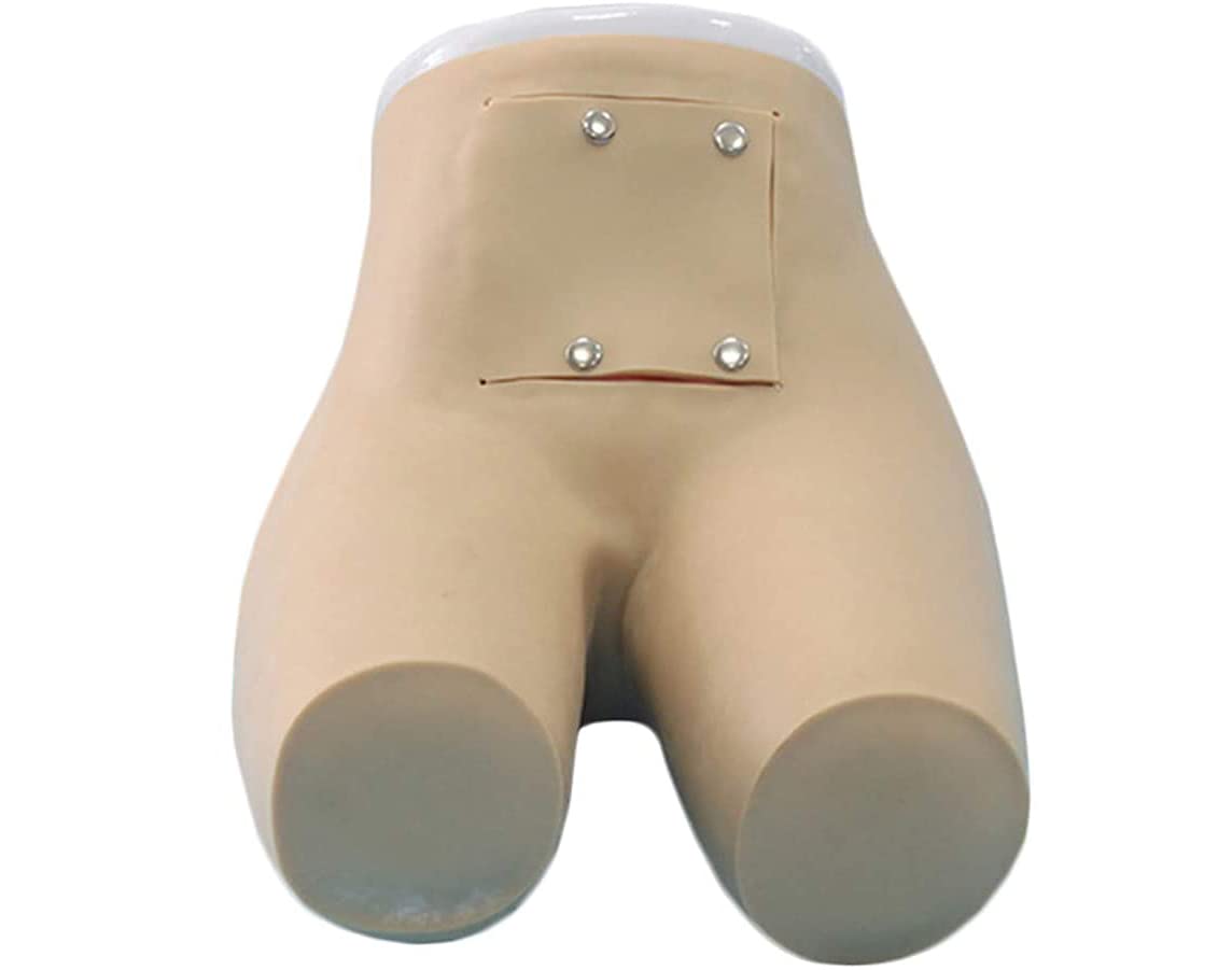 Sjdopulse Advanced Enema And Assisted Defecation Training Model - Manikin Teaching Model Medical Practice Model - For Nursing Medical Teaching,A