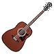 Ibanez V54NJP-OPN Jampack - Westerngitarre