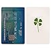 Real Four Leaf Clover Lucky Charm Party Favor Gift Saint Patrick's Day Handmade Greeting Card