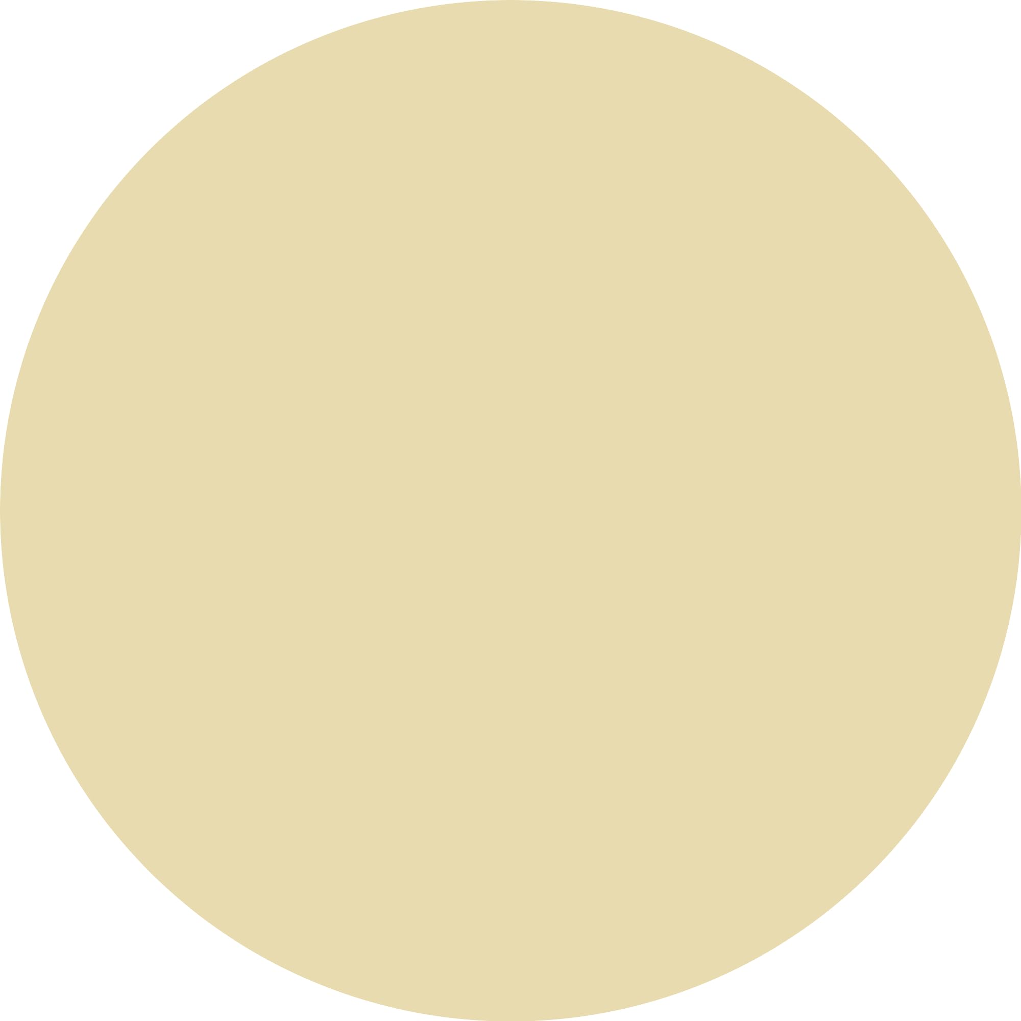 Catrice BRIDES & BESTIES Glitter Dream Cushion, shimmery (3.5g) — view 3