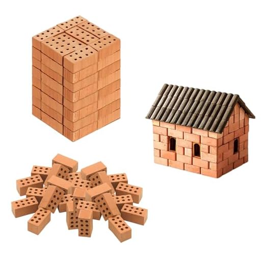 Shwdsy 50 Piezas Ladrillos Miniatura, Material de Terracota Ladrillo, Miniladrillos, 20 X 10 X 10 cm, para Bricolaje, Decoración de Jardines, Construcción de Maquetas, Decoración de Paisajes