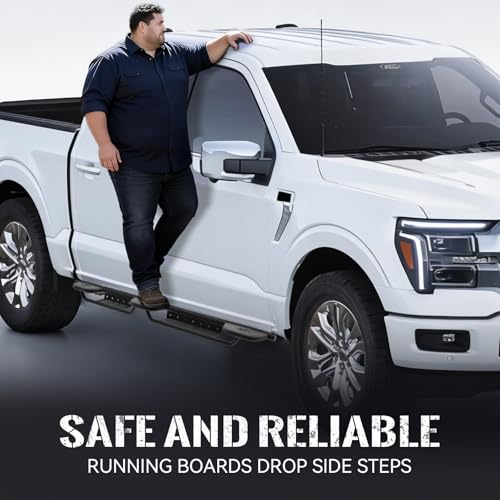 Estribos para Ford F150 F250 F350 F450 F550 2015-2025 miniatura 2