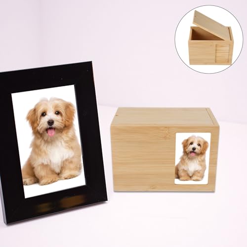 Boîte commémorative chat et chien pour garder un souvenir intact - 8