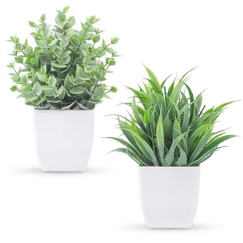 Der Rose 2 Pack Small Fake Plants Mini Artificial Potted Plants for Table Desk Home Laundry Room Bathroom Office Decor