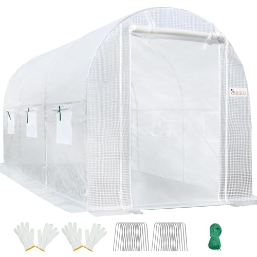 KING BIRD Premium 10x6.6x6.6FT Large Walk-in Greenhouse for Outdoors, Heavy