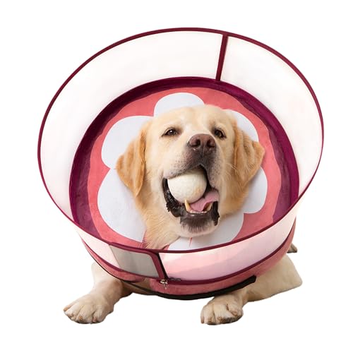 Image of Inflatable Dog Cone Collar for Large Medium Small Dogs, Soft Dog Donut Collar Adjustable Recovery Cone for Pets After Surgery, Extra Enhanced Anti-Licking Guard Shield (Mangosteen, Large)