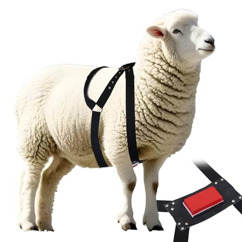 USUNFARM Leather Nylon Adjustable Black Marking Harness and Goat Mating Crayon Block Marker, Adjustable Strap for Ram Breeding/Marking Harness (Red)
