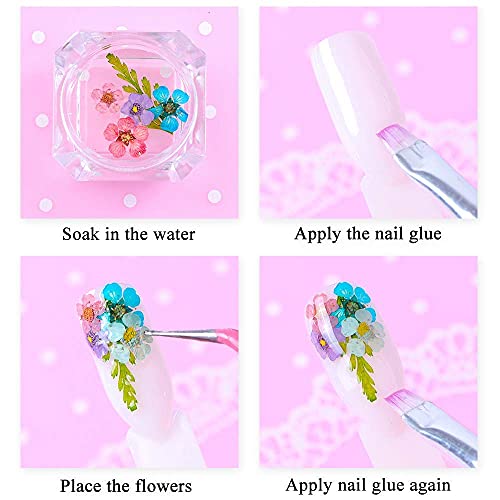 Lpone LP08 60 Pcs 3D Nails Dried Flowers Resin Accessories Mini Natural For Nail Art Supplies Decal Mixed Accessory Starry Flower Stickers Colorful Dry Decals(12 Colors). thumb #4