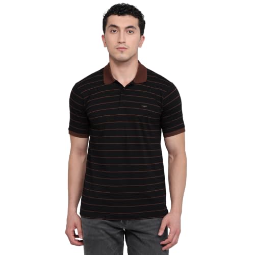 Image of Park Avenue Men Slim Fit Stripe Pattern Pure Cotton Polo Neck Half Sleeve Casual T-Shirt