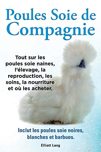 Poules soie de compagnie. Tout sur les Poules soie naines, l'élevage, la reproduction, les soins, la nourriture et où les acheter. Inclut les Poules soie noires, blanches et barbues.