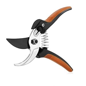 Tuinschaar, takkenschaar, professionele takkenschaar, premium handschaar, top tuinschaar, antislip grip, snijden van takken en het arrangeren van bloemen
