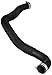 Motorcraft - Hose Asy (P) (KM5062)