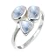 Rainbow Moonstone