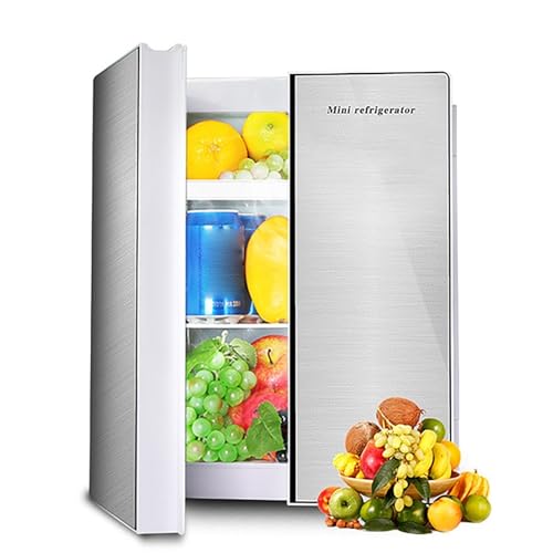 Mini Réfrigérateur 25L Portable Chauffe-Aliments pour Chambre Voyage et Camping