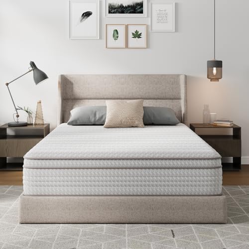 Novilla 12 Inch Queen Mattress, Hybrid Queen Mattresses in a Box with SmartsTM Coil Pocket Spring for Pressure Relief, Medium Firm Colchones with Comfort Foam, CertiPUR-US Certified