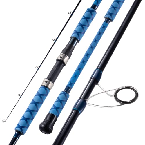 Caña de Pescar Surf Spinning de Carbono TESAN LH HUNT