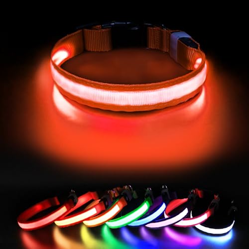 Leuchthalsband Hund Hundehalsband Leuchtend Aufladbar LED Halsband für Hunde Leuchtband Einstellbar Wasserdicht mit 3 Lichtmodi Sicherheit für Kleine Mittlere Große Hunde Orange M