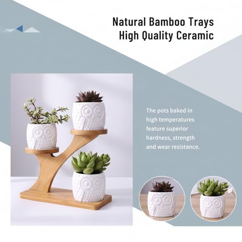 Support de plante de bureau avec petits pots fleurs en céramique blanche