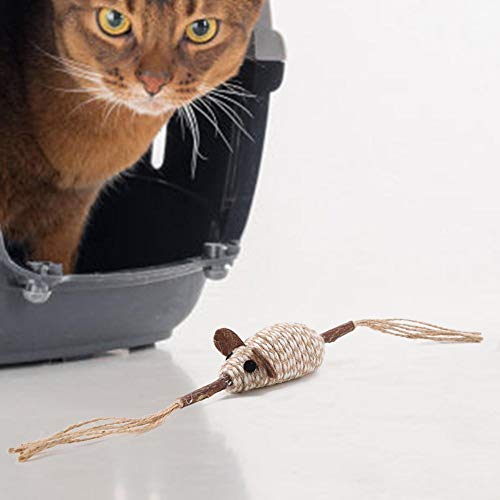 Palitos para mastigar gatos, brinquedos para mastigar gatos, palitos para mastigar gatinhos para cas