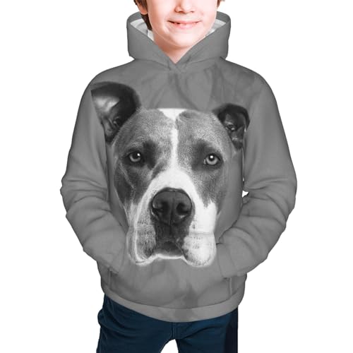 Grey Dog Boy, Girls Sports Shirt Youth Pullover Fashion Hooded Sweatshirt