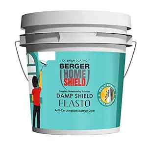Berger Paints Home Shield Damp Shield Elasto (20 L)