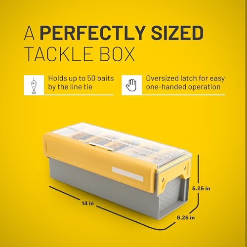 Image of Edge Frog Box
