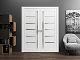 SARTODOORS Quadro 4088 Interior Doors 36 x 80 in, White Frosted Glass Solid French Double Door, Solid MDF Core, Frame and Satin Nickel Hardware Included