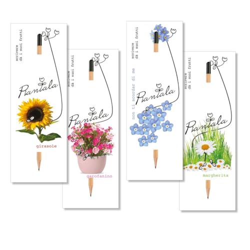 Value - Juego de 4 semillas plantables + lápices + tarjetas (semillas flores mixtas - 4 piezas)