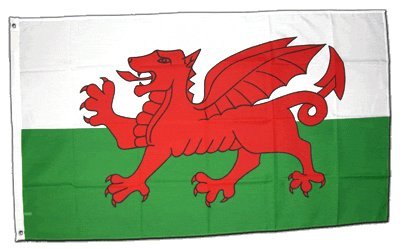 Drapeau Pays de Galles 60x90 cm lot de 10 pavillons gallois Digni