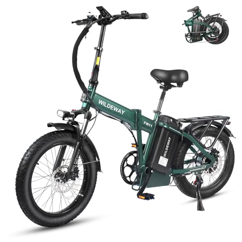 32Ah 20” x 3.0” FW11 Pro Upgraded Electric Bike Long