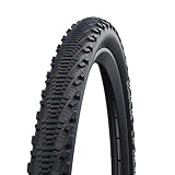 Schwalbe